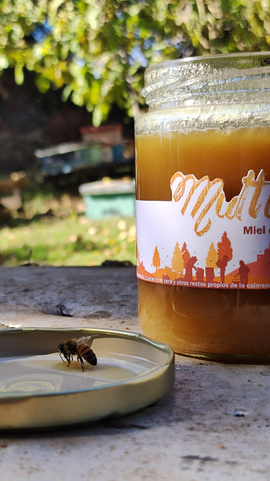 Diferenciar las mieles Puras por el Aroma