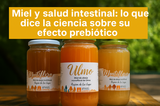 La Miel como prebiótico natural: evidencia científica y cómo aprovecharla