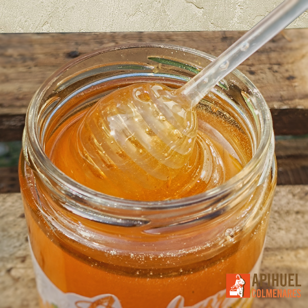Miel Monofloral de Azahar 515grs