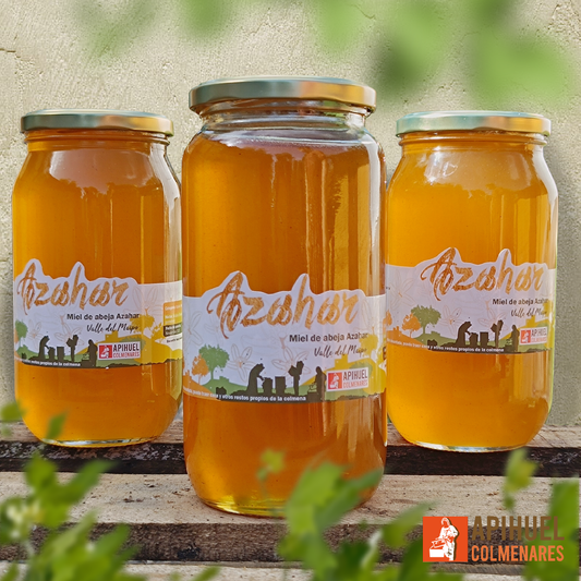 Pack 3 Frascos Miel Monofloral de Azahar 1,3 kg