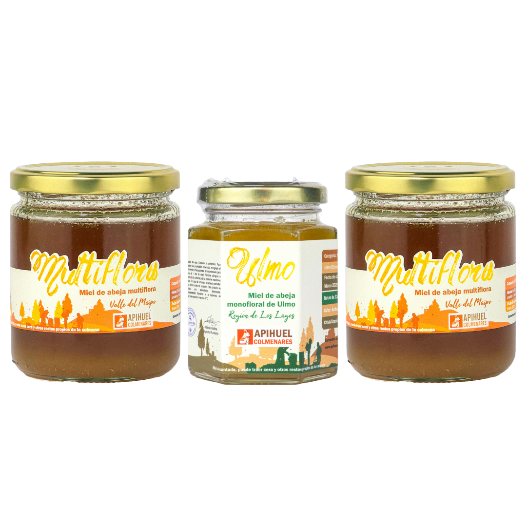 Pack Mieles Multiflora y Ulmo