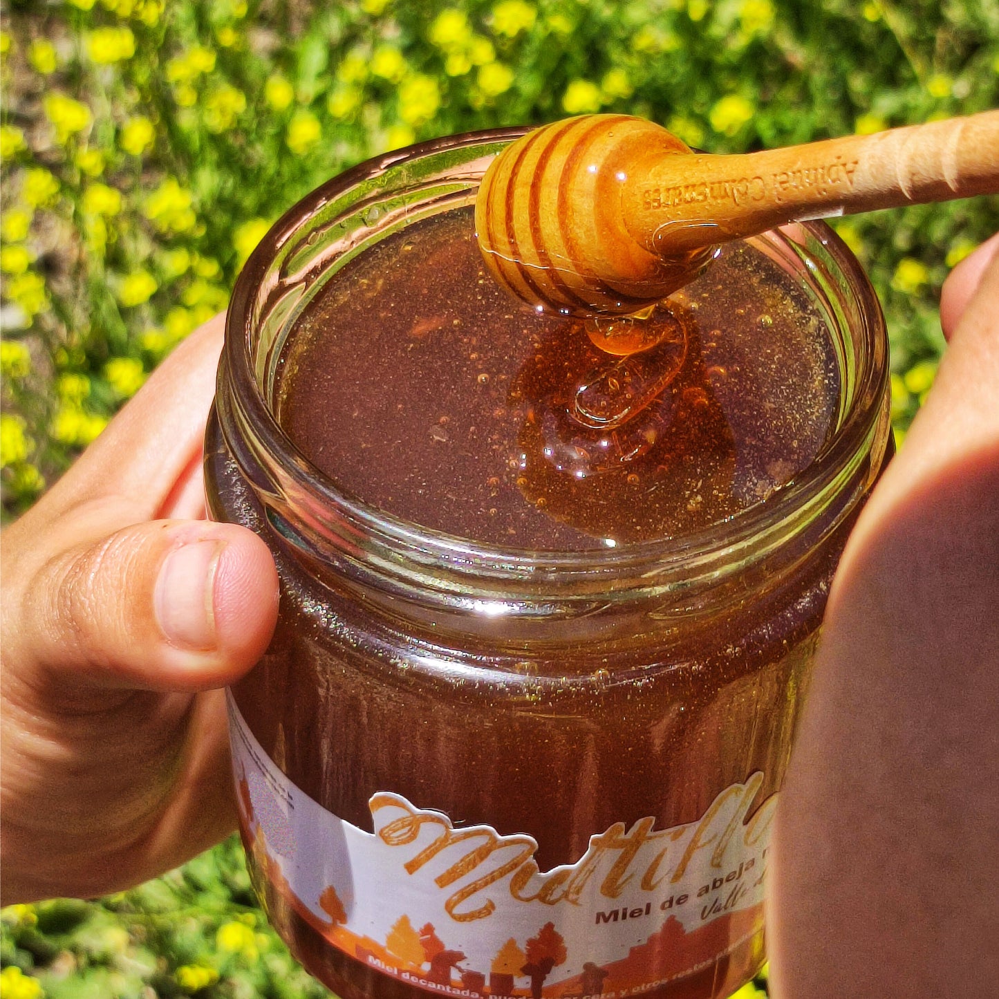 Pack Mieles Multiflora y Ulmo