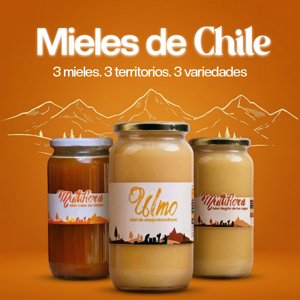 Pack Mieles de Chile 1,3 kg – Apihuel Colmenares