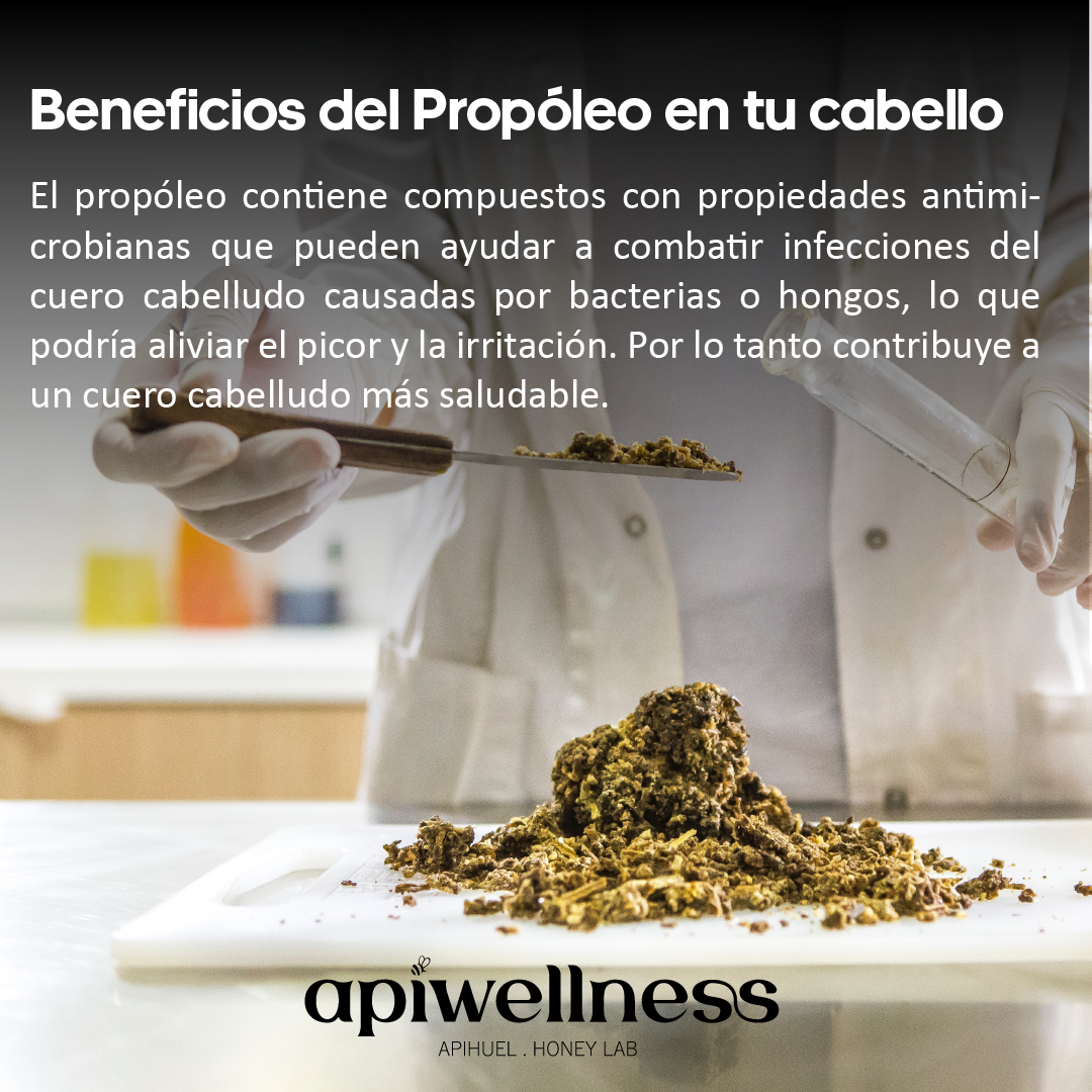 Pack Cuidado Capilar, Shampoo y Acondicionador Artesanal, Apiwellness