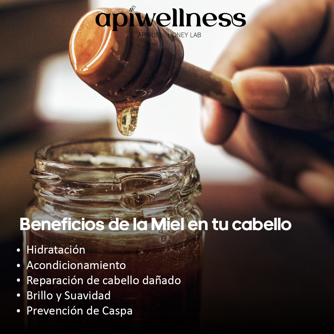 Acondicionador Artesanal Miel de Ulmo, Nueva Receta, Limpieza e Hidratación Profunda, Apiwellness, 500ml