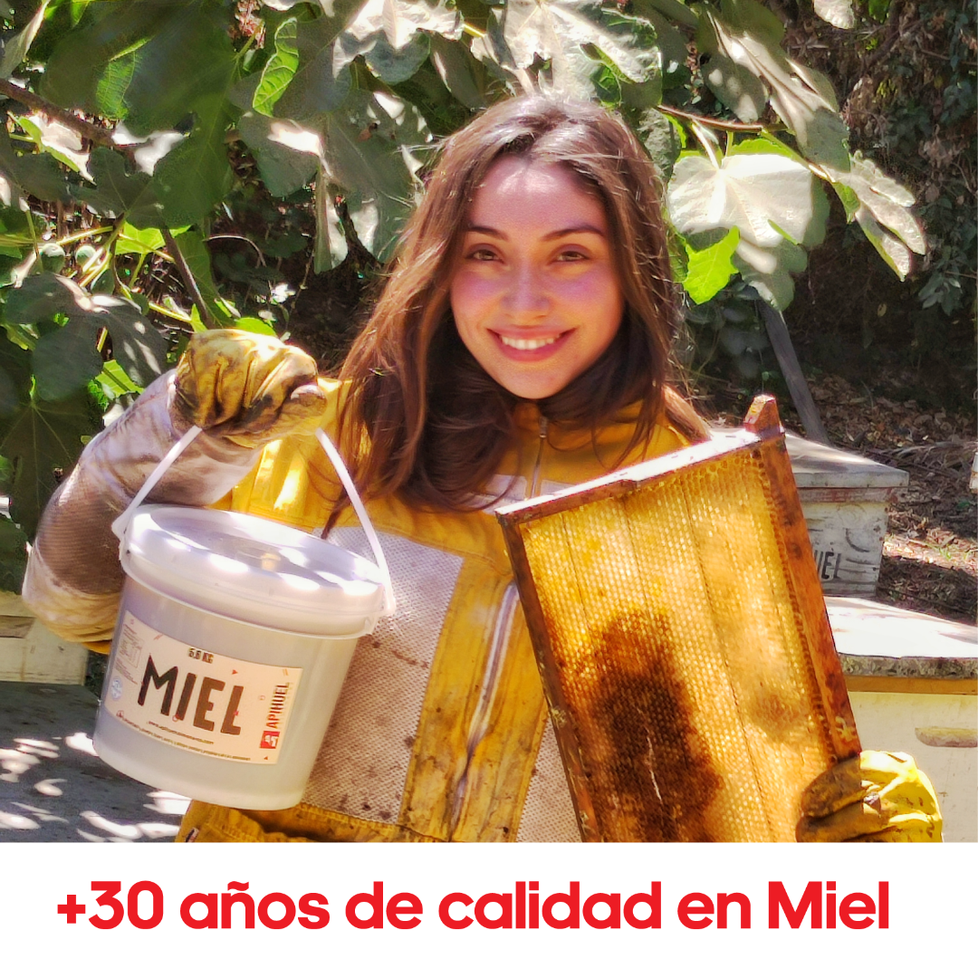 Balde Miel Multiflora Valle del Maipo 5,6Kg