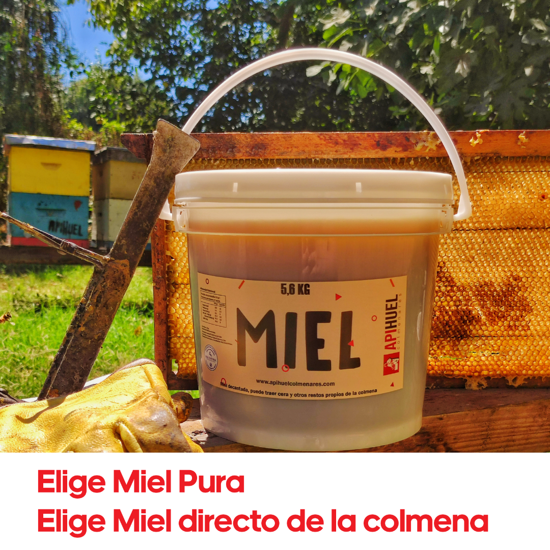 Balde Miel Multiflora Valle del Maipo 5,6Kg