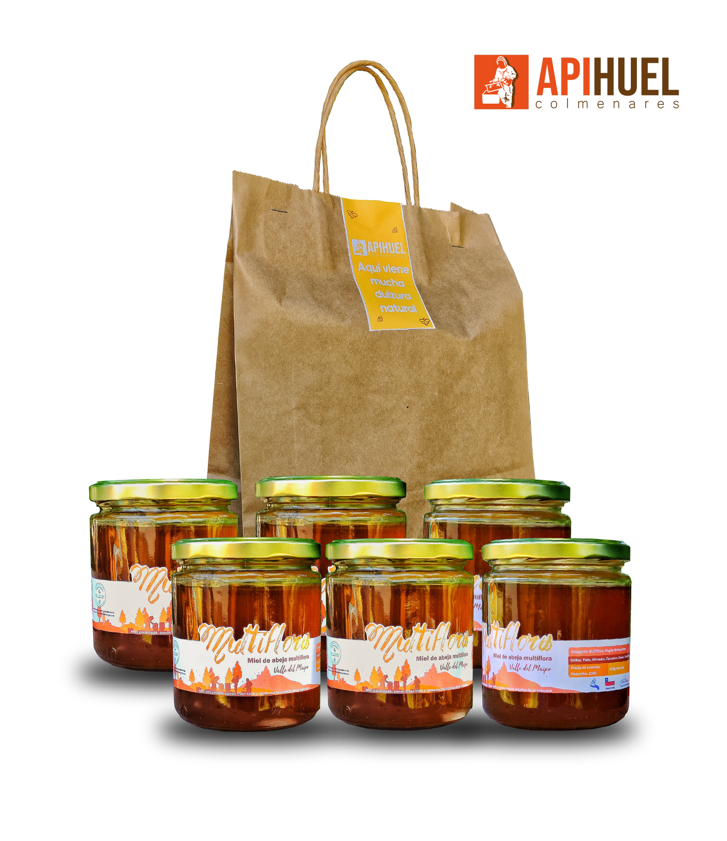 Big Pack 6 Mieles Multiflora Valle del Maipo 515grs c/u