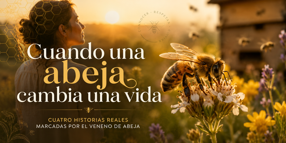 Cuando una abeja cambia una vida: historias reales marcadas por el veneno de abeja