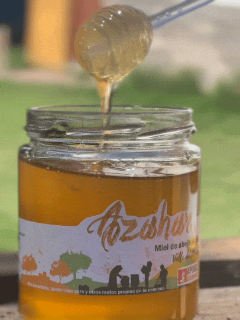 Miel Monofloral de Azahar 515grs