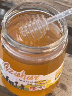 Miel Monofloral de Azahar 515grs