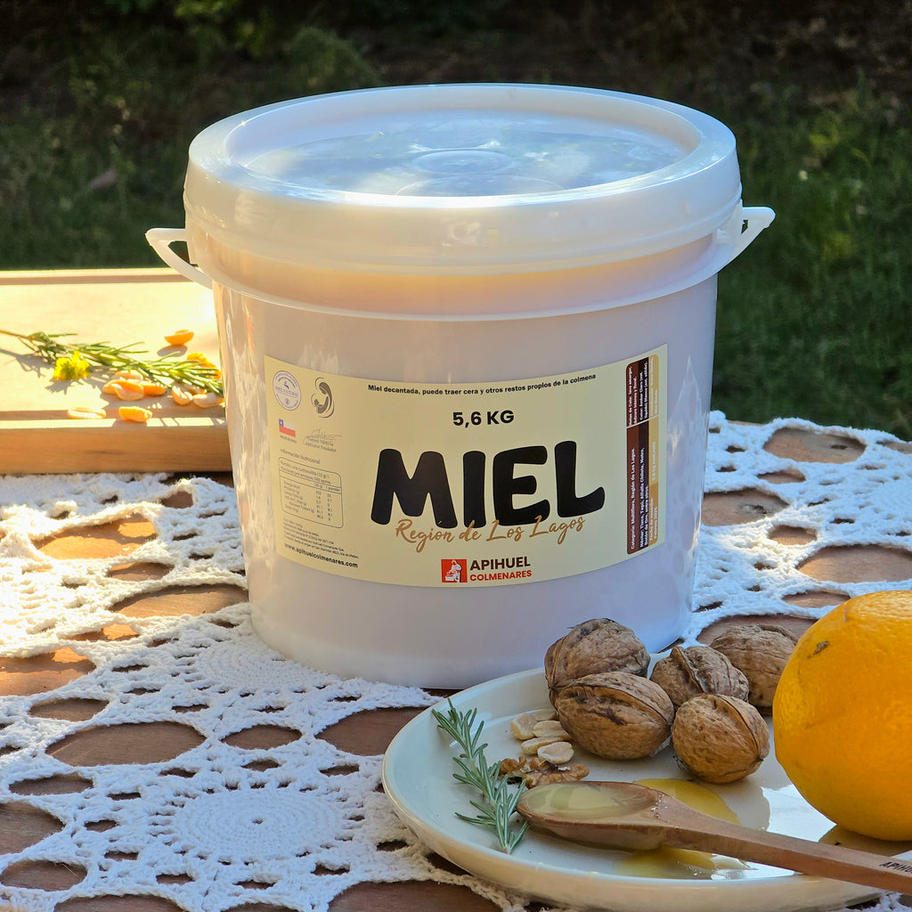 Balde Miel Multiflora de La Región de Los Lagos 5,6 kilos