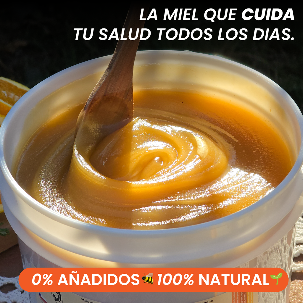Balde Miel Multiflora Valle del Maipo 5,6Kg