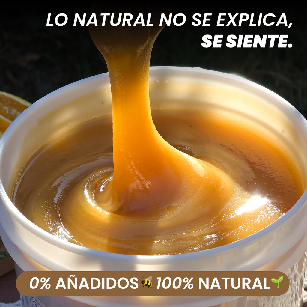 Balde Miel Multiflora de La Región de Los Lagos 5,6 kilos