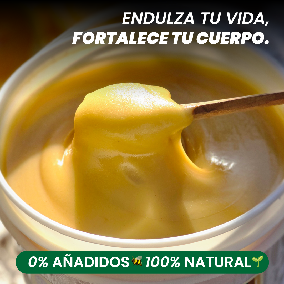 Balde Miel de Ulmo 5,6 kg