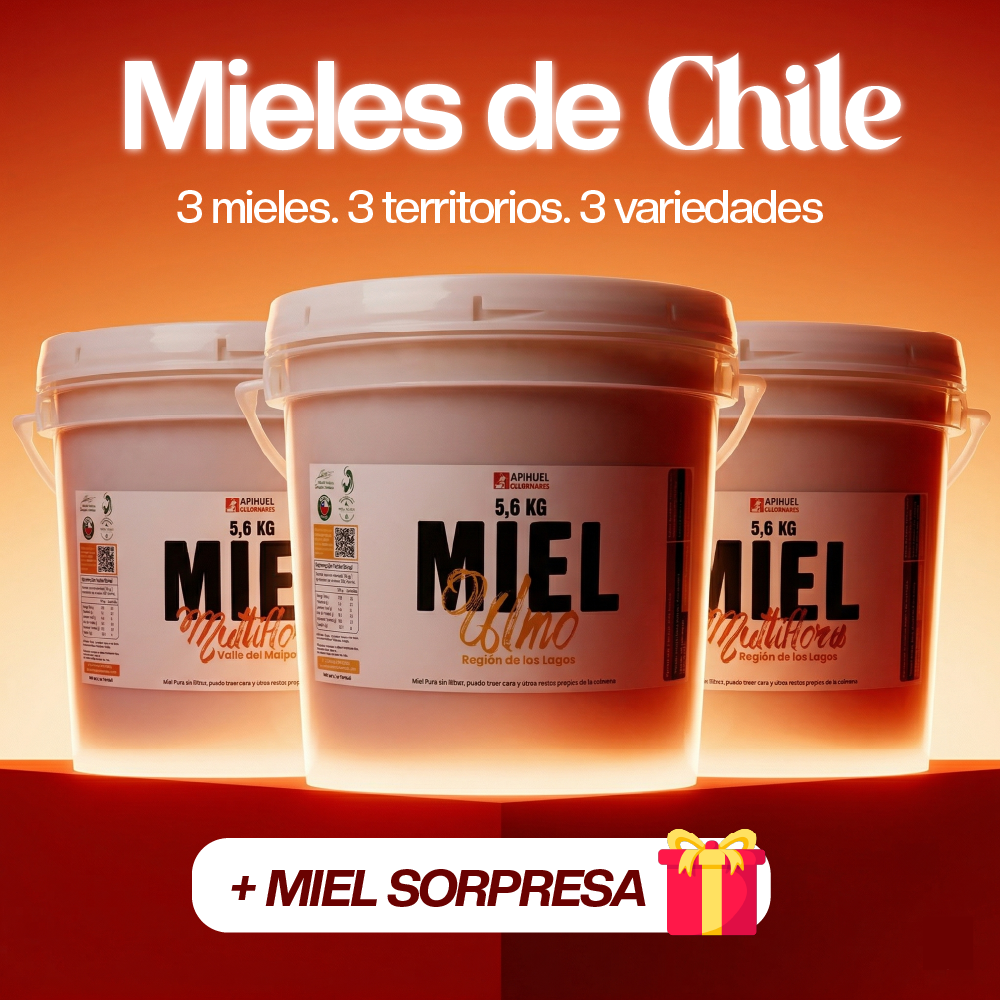 Pack Baldes Mieles de Chile 5.6kg
