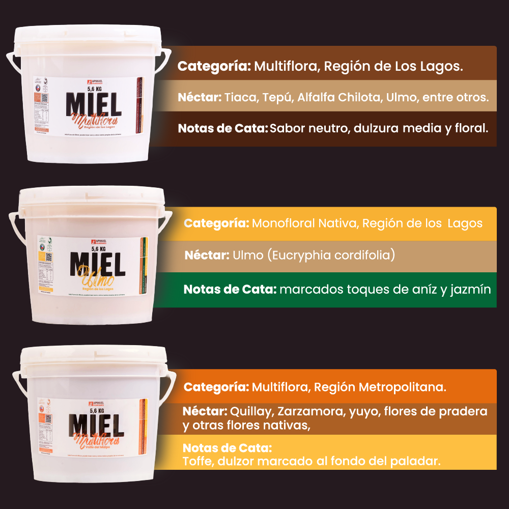 Pack Baldes Mieles de Chile 5.6kg