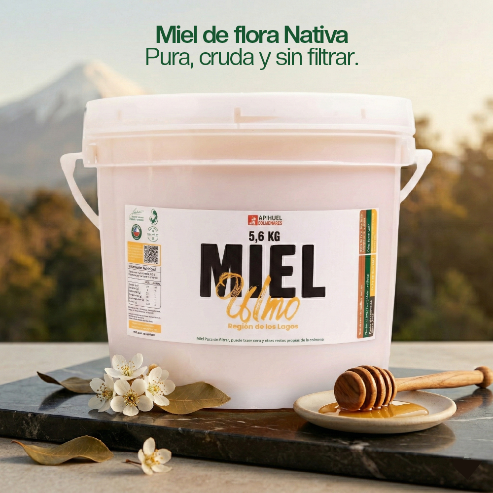 Pack Baldes Mieles de Chile 5.6kg