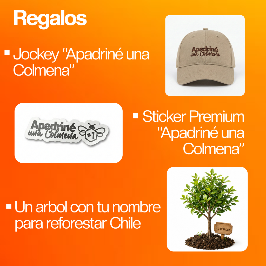 Abeja Reina