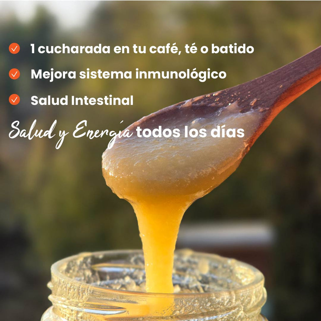 Pack 3 Mieles Multiflora de La Región de Los Lagos 515grs c/u