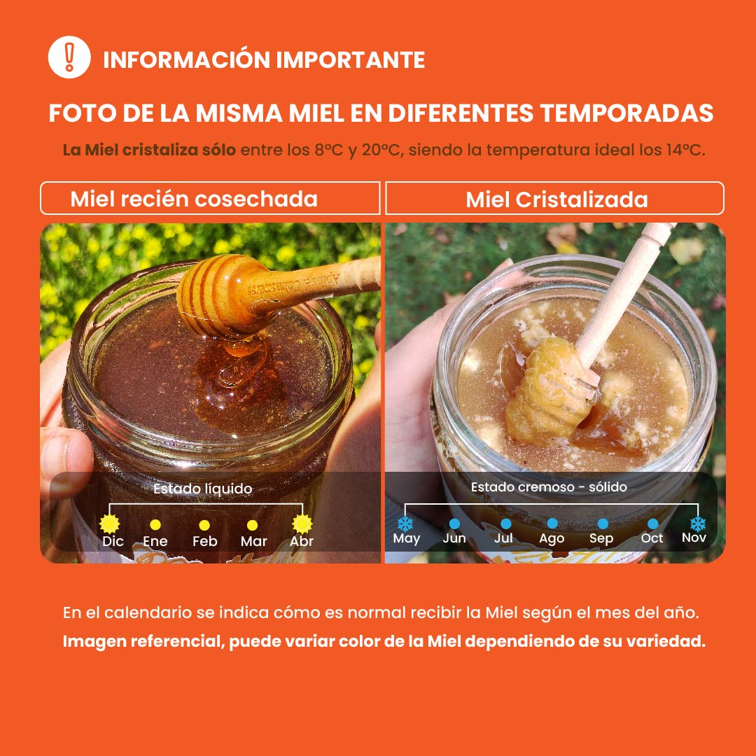 Miel Multiflora del Valle del Maipo 515 grs
