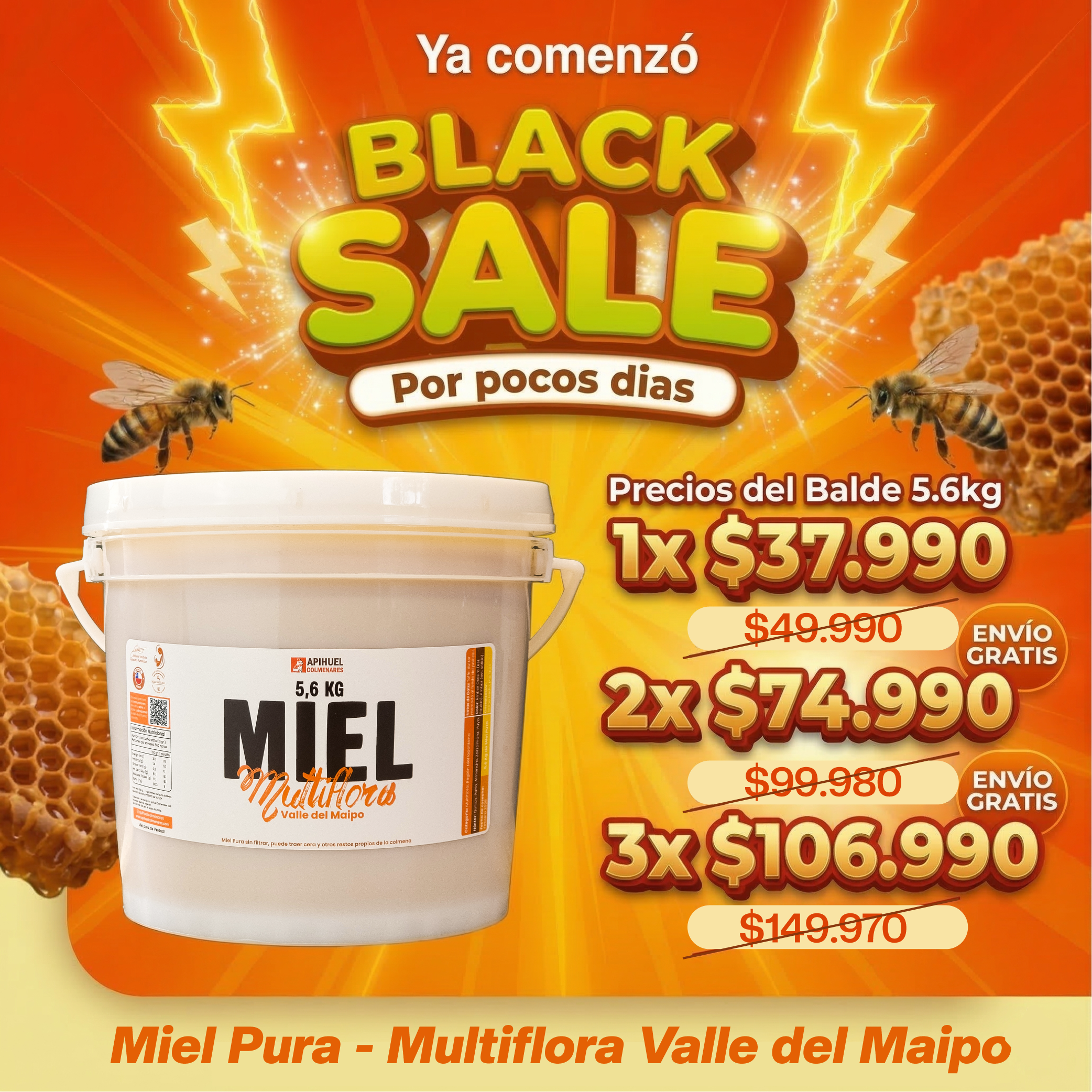 Balde Miel Multiflora Valle del Maipo 5,6Kg