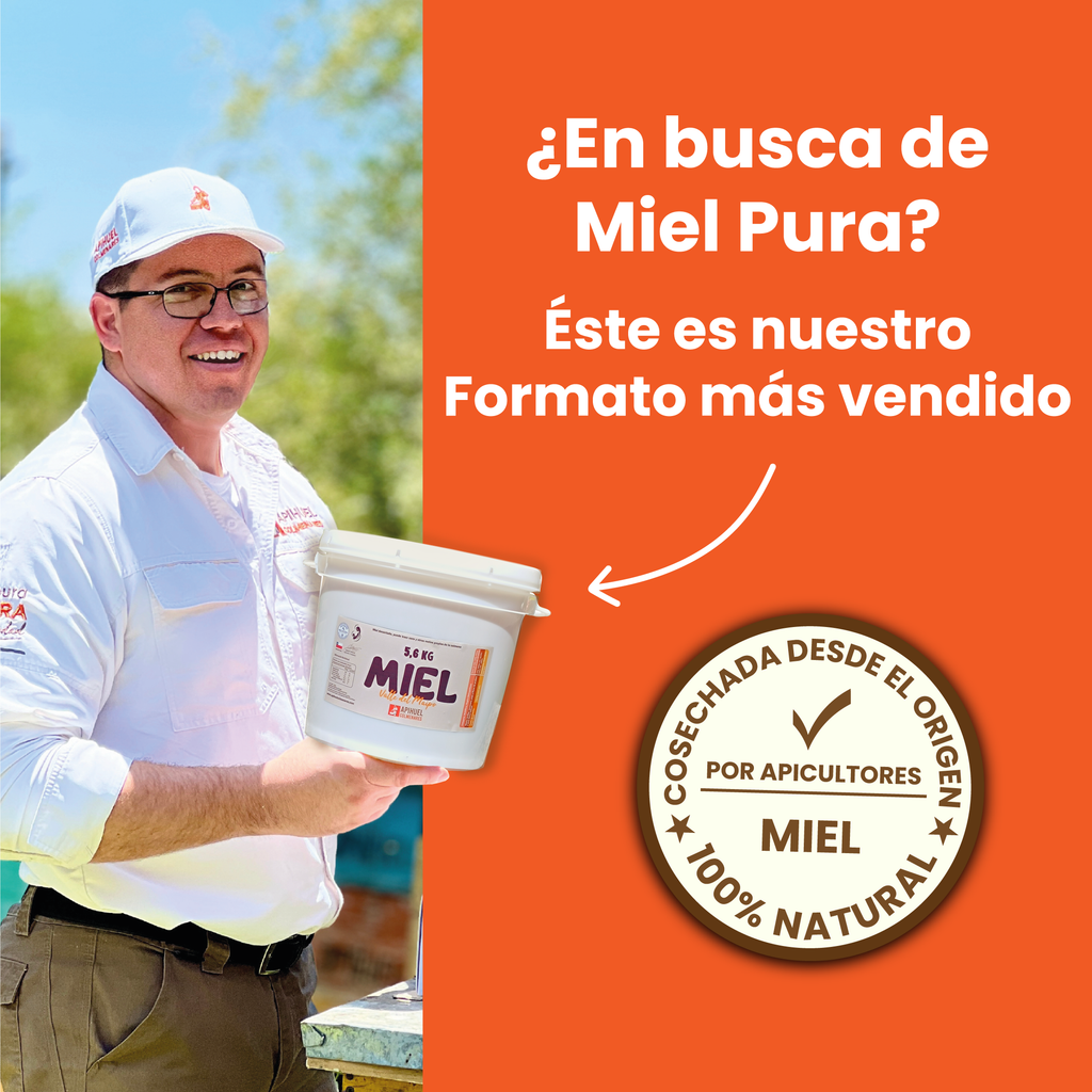 Caja 25 frascos Miel Multiflora Valle del Maipo 515grs precio especial para Mayoristas