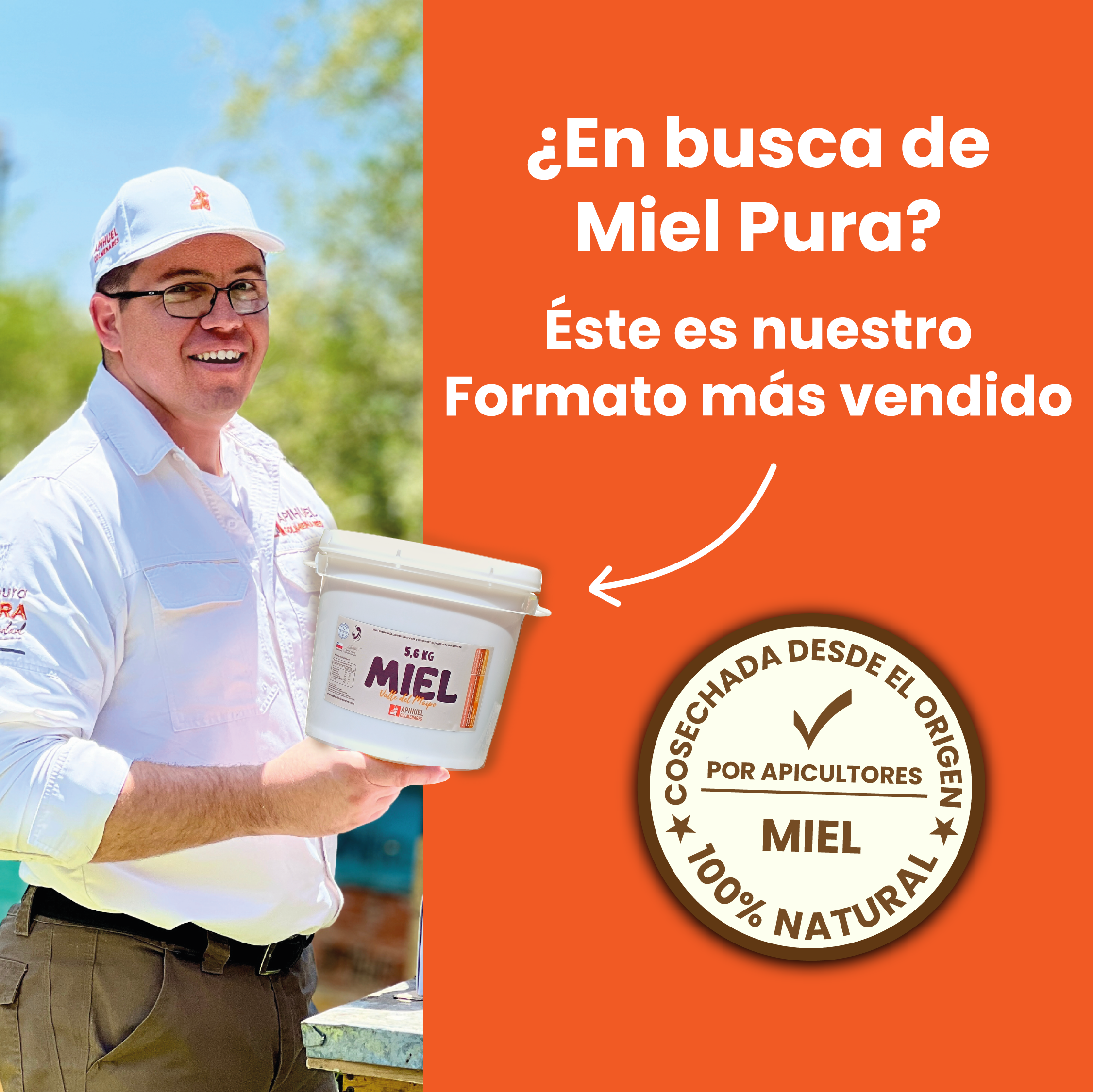 Caja 25 frascos Miel Multiflora Valle del Maipo 515grs precio especial para Mayoristas