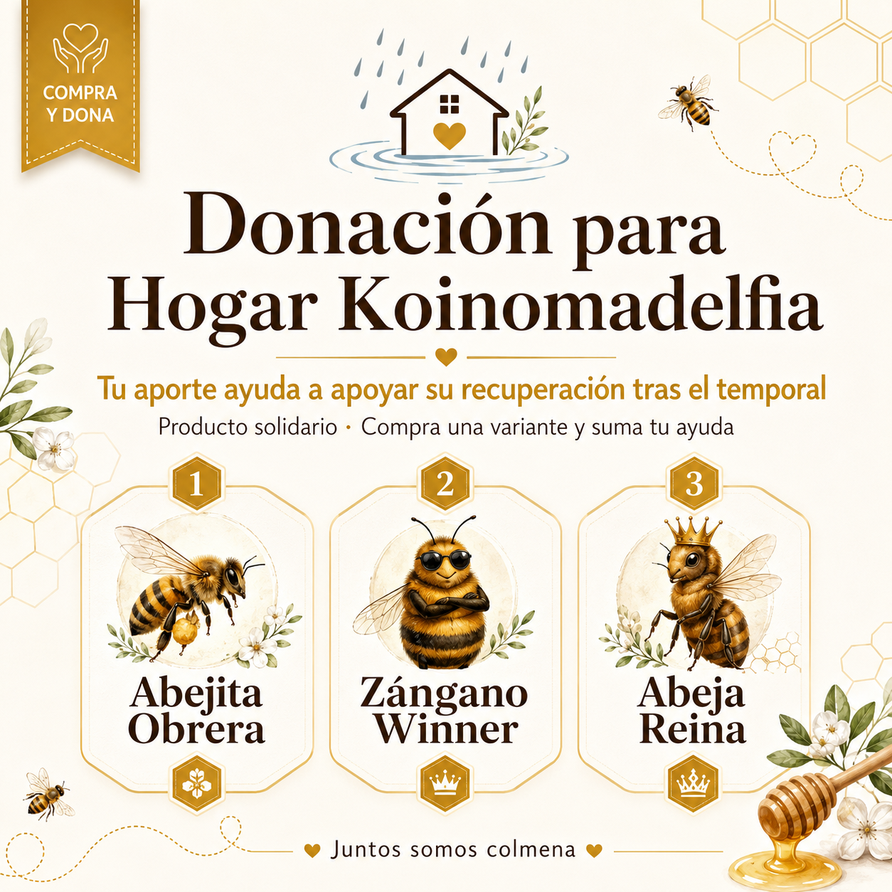 Donación Koinomadelfia