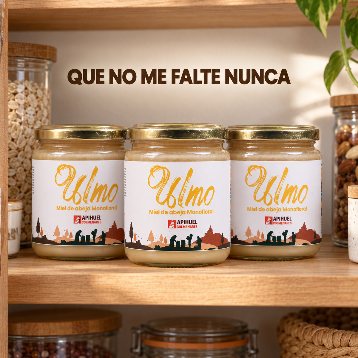 Pack 3 Frascos Miel Monofloral Ulmo 515grs
