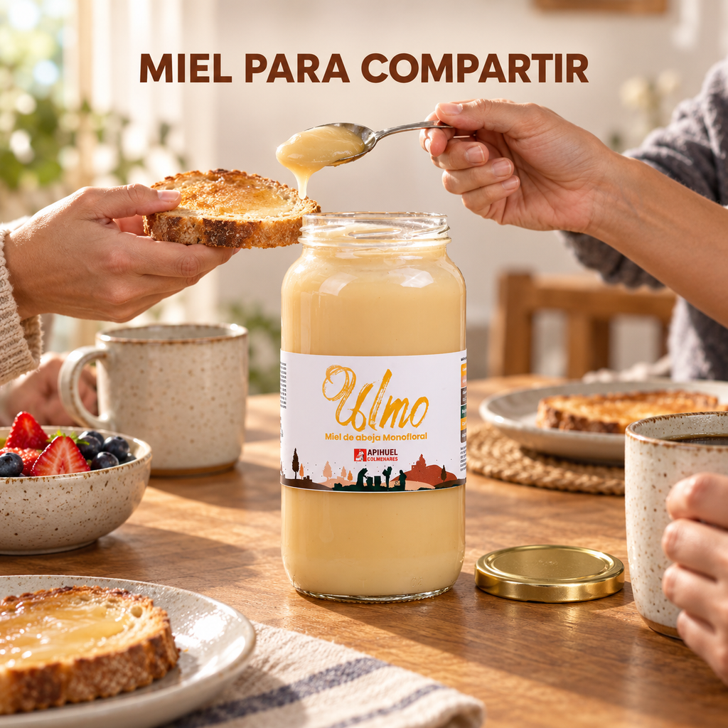 Pack 3 Frascos Miel Monofloral Ulmo 1,3 kg
