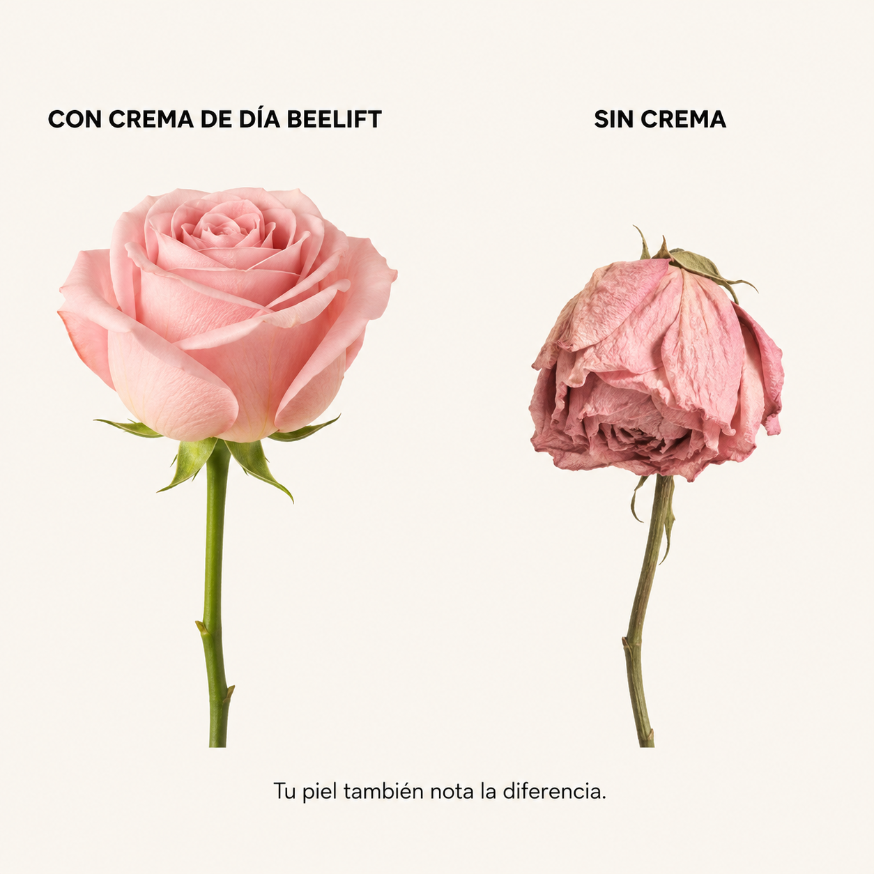 CREMA DE DÍA BEELIFT — Antiedad & Firmeza . 50ml