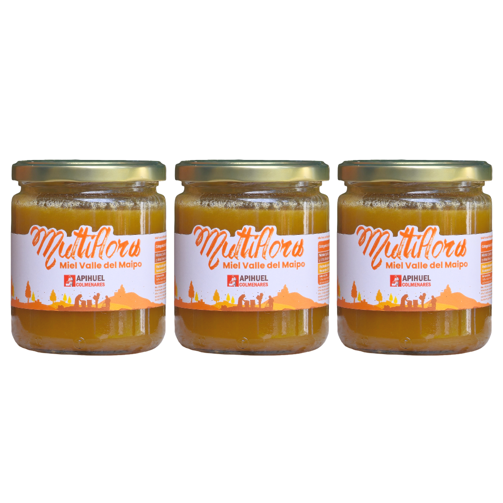 Pack 3 Mieles Multiflora Valle del Maipo 515grs c/u