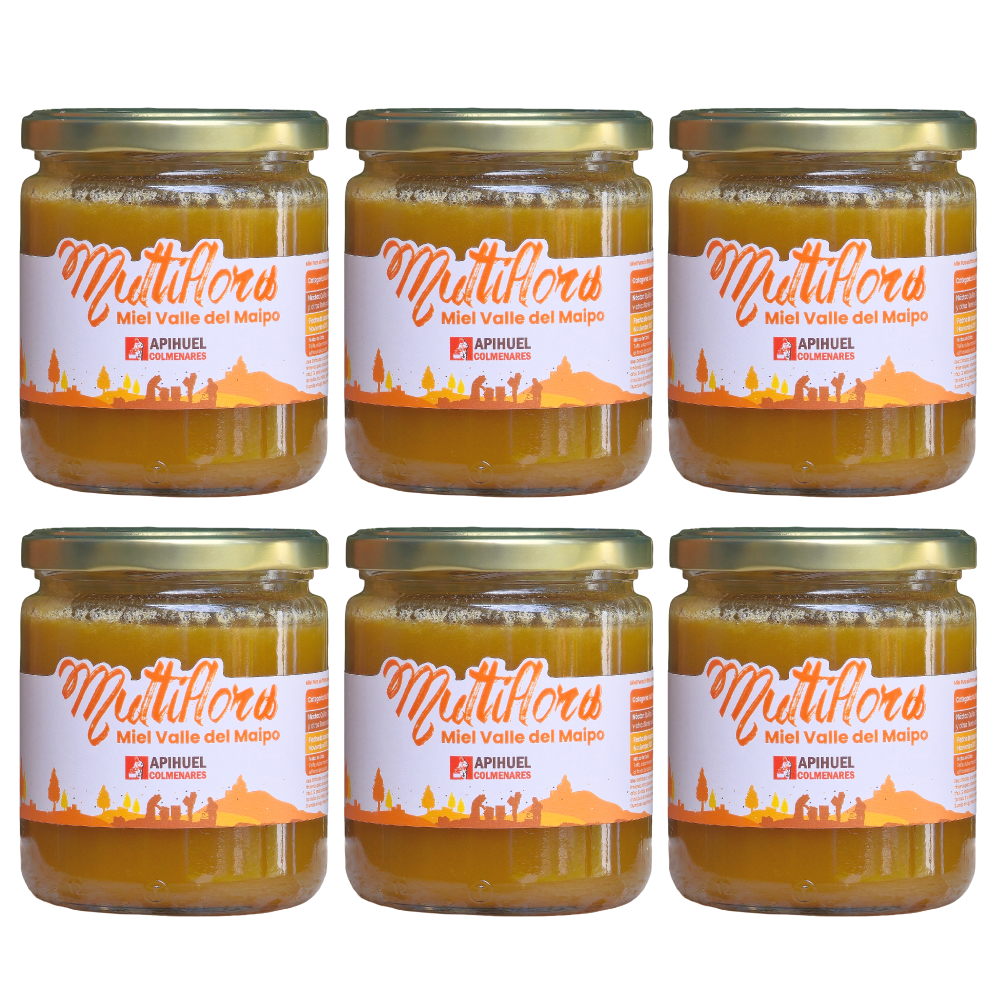 Big Pack 6 Mieles Multiflora Valle del Maipo 515grs c/u