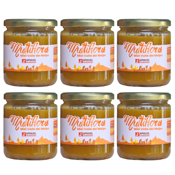 Big Pack 6 Mieles Multiflora Valle del Maipo 515grs c/u