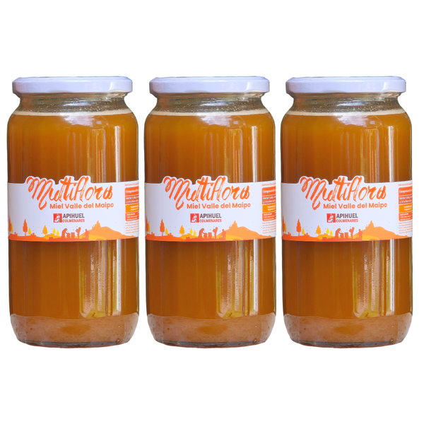 Pack 3 Mieles Multiflora del Valle del Maipo 1,3kg c/u