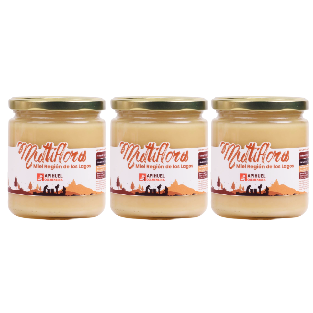 Pack 3 Mieles Multiflora de La Región de Los Lagos 515grs c/u
