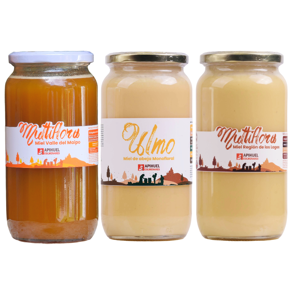 Pack Mieles de Chile 1,3 kg