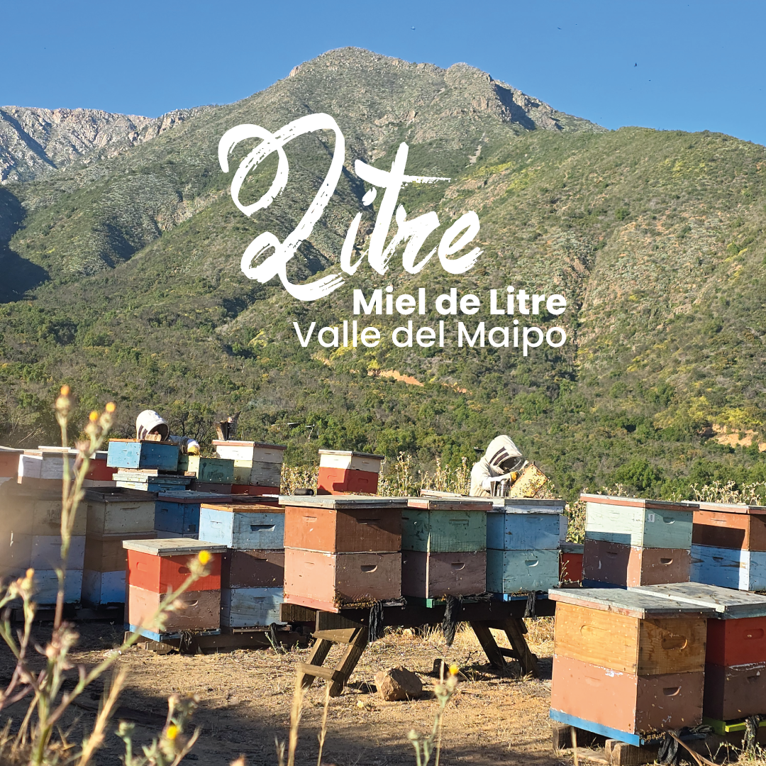 Miel Monofloral de Litre 515grs