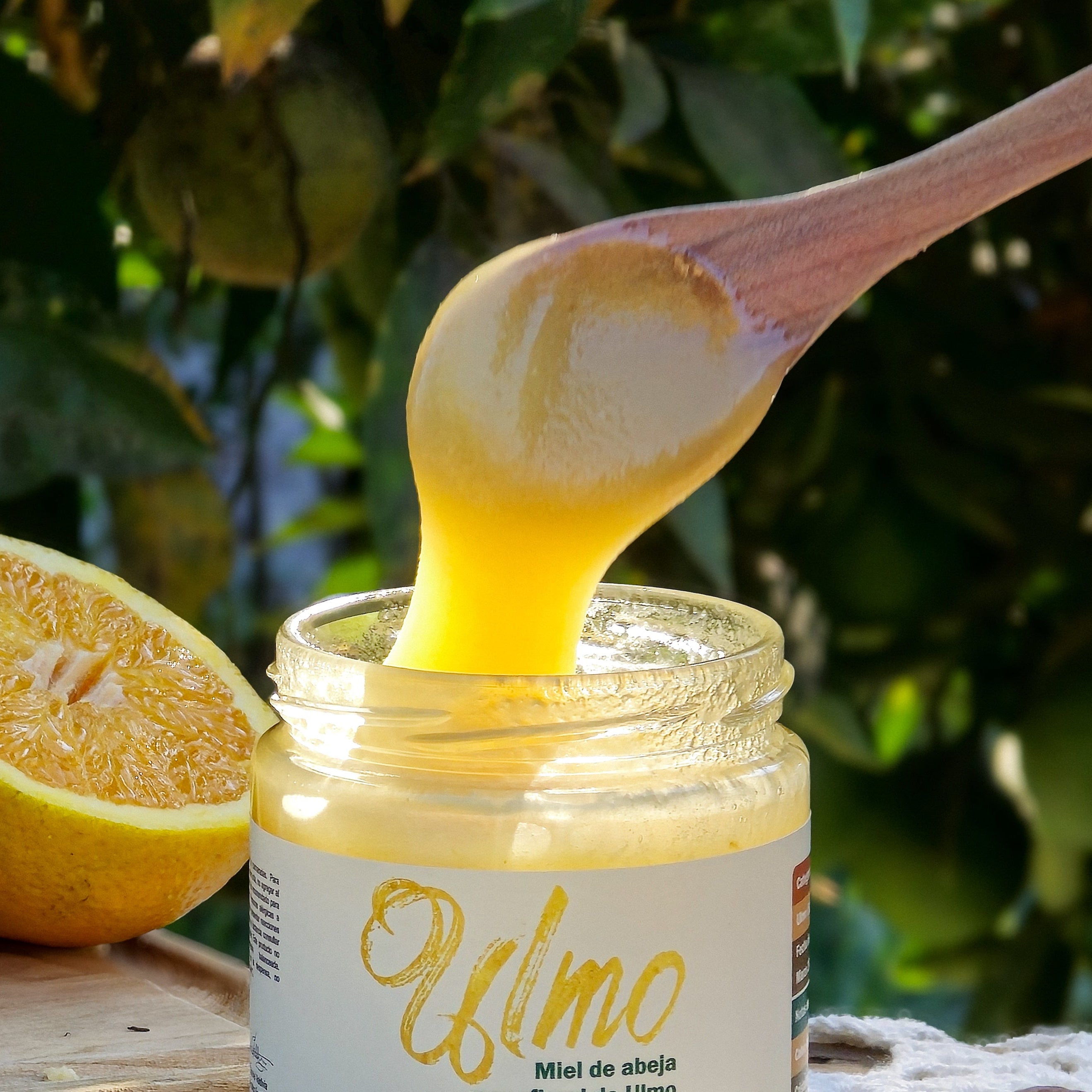 Miel de Ulmo 515 grs