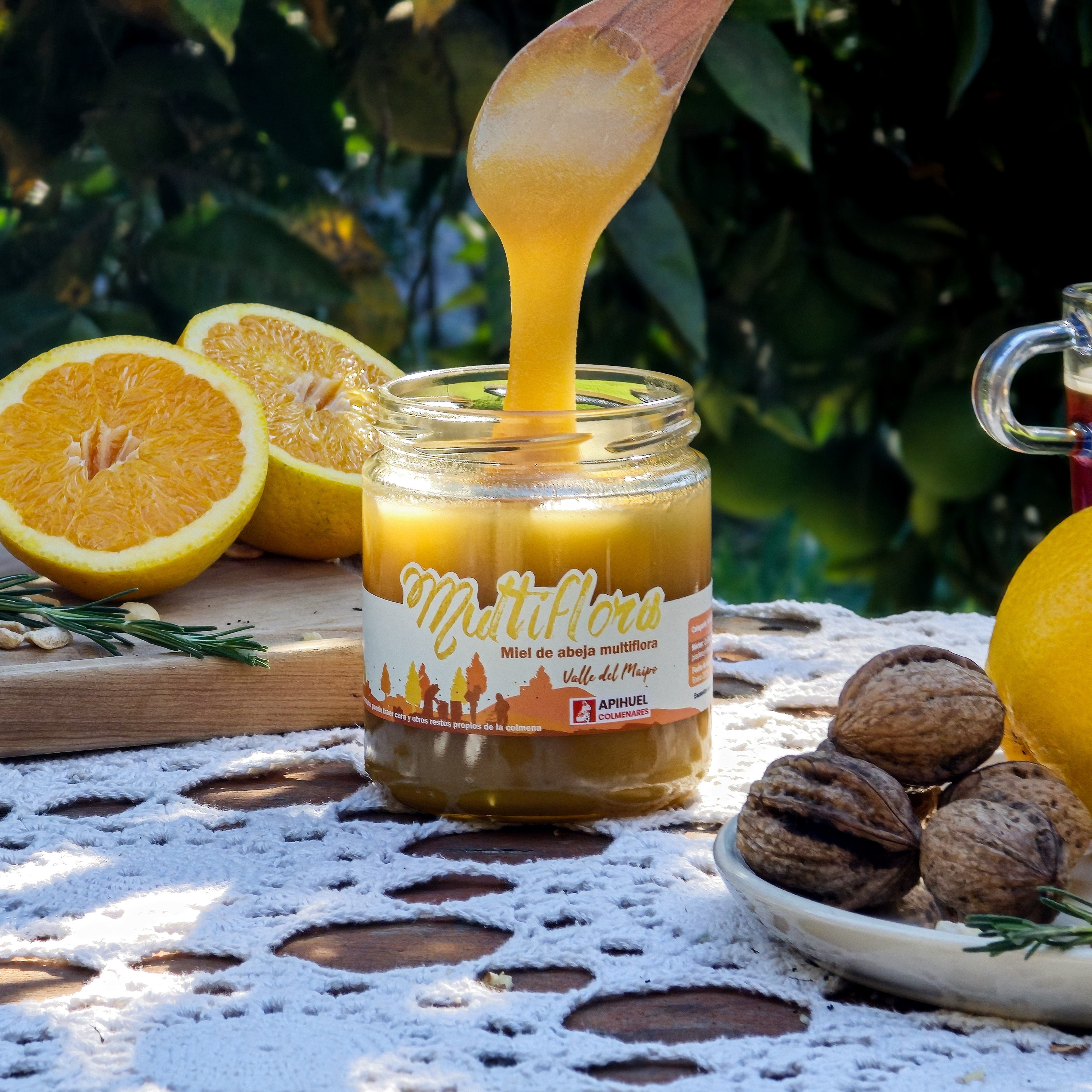 Big Pack 6 Mieles Multiflora Valle del Maipo 515grs c/u