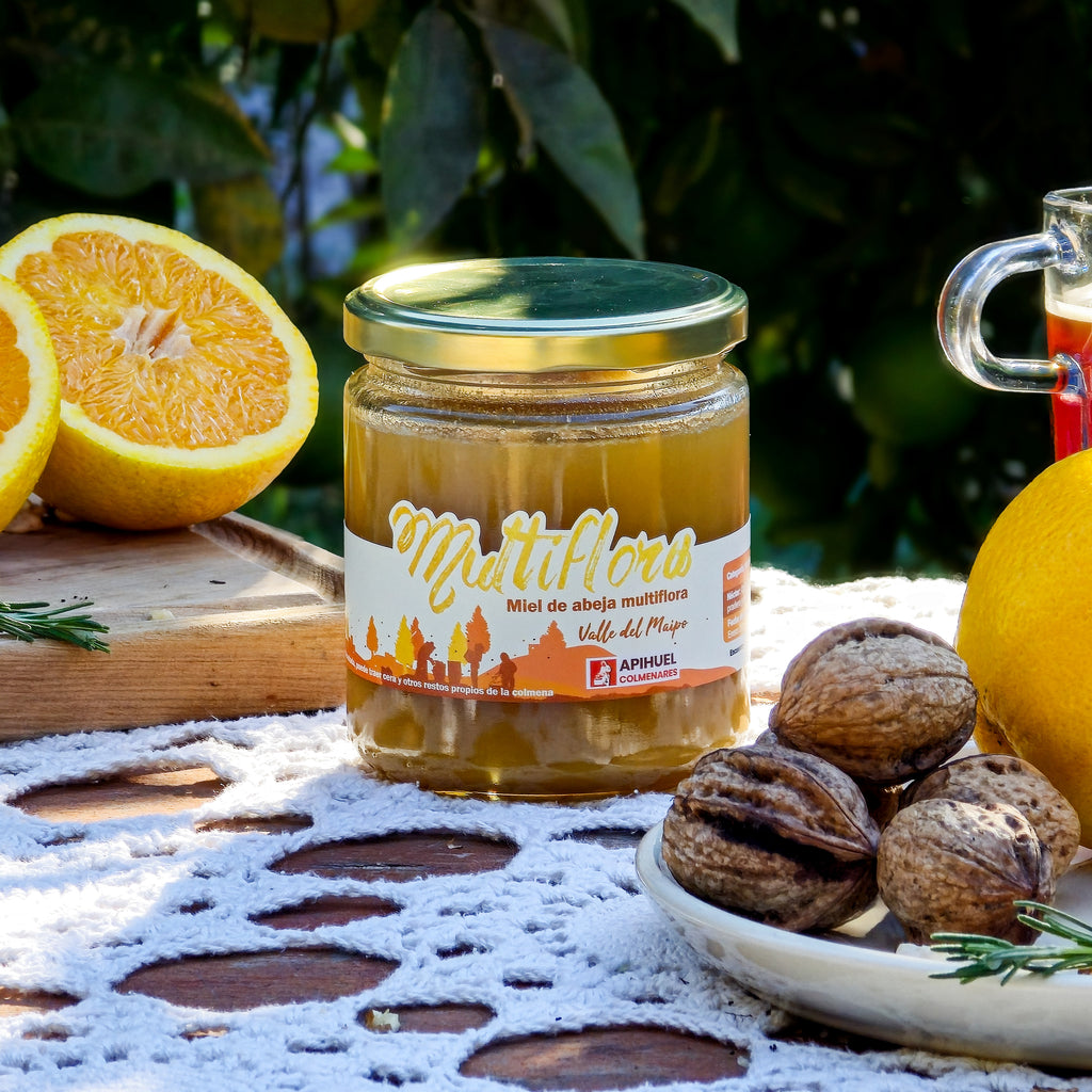 Big Pack 6 Mieles Multiflora Valle del Maipo 515grs c/u