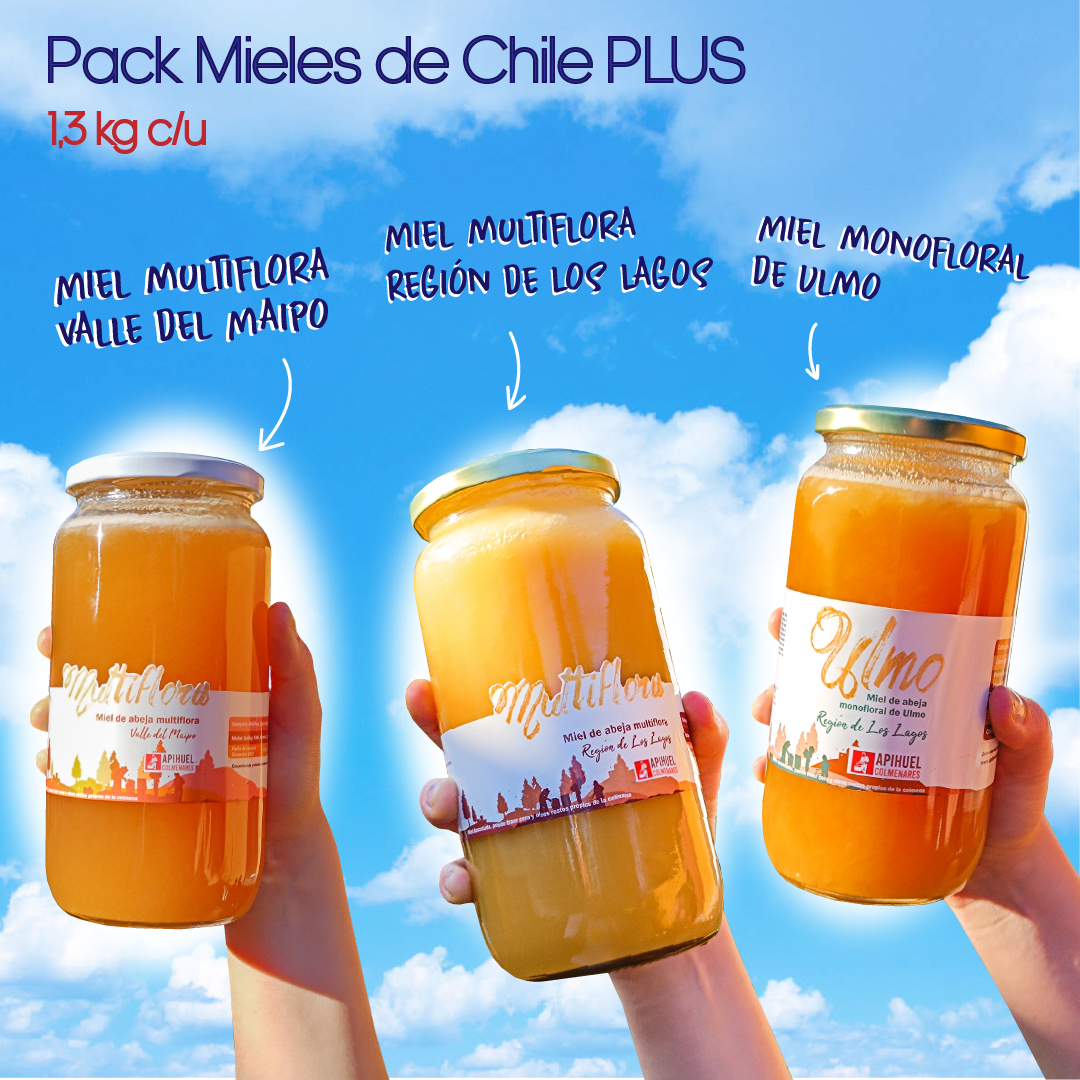 A hand holding jars and bottles of honey from Pack Mieles de Chile 1.3 kg.