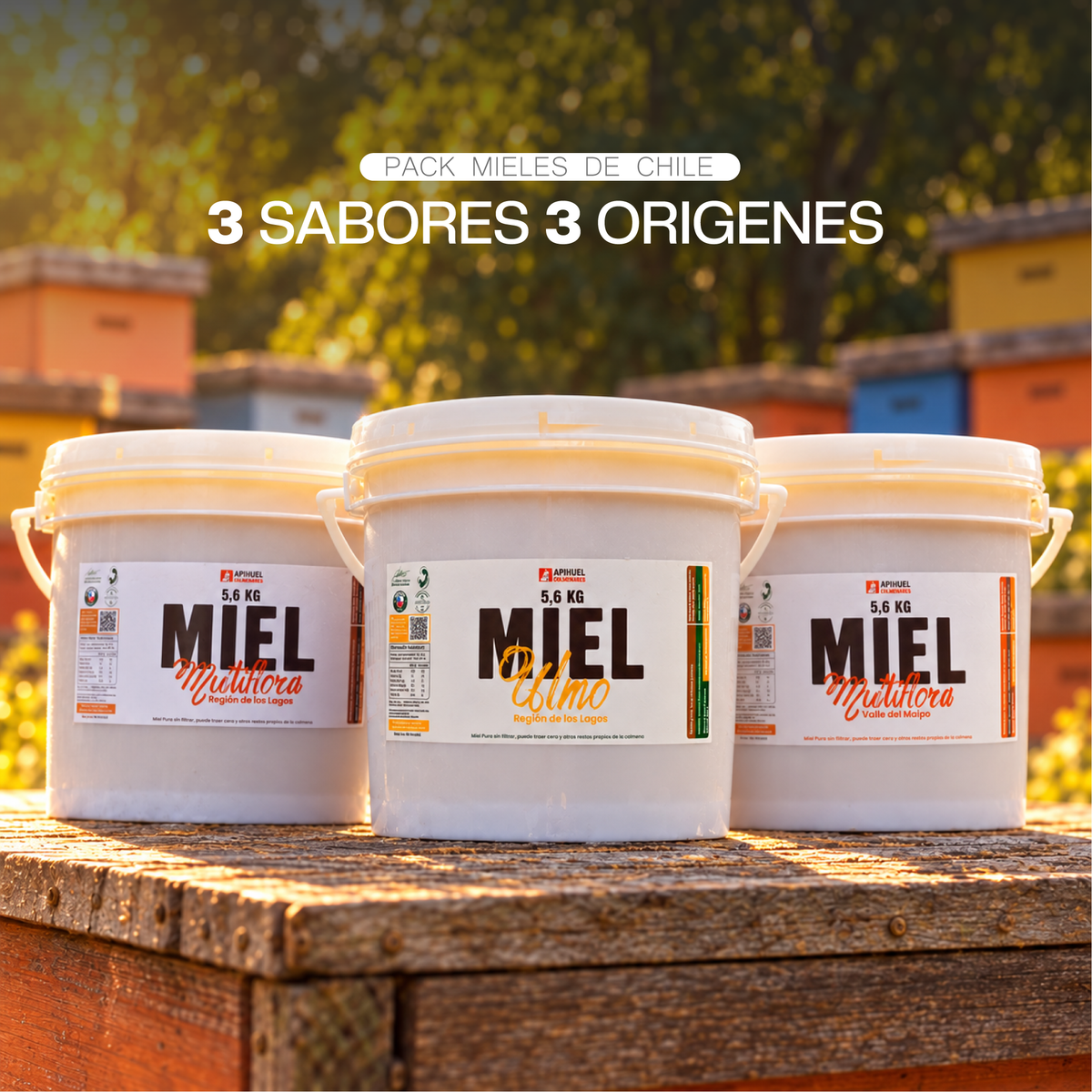 Pack Baldes Mieles de Chile 5.6kg