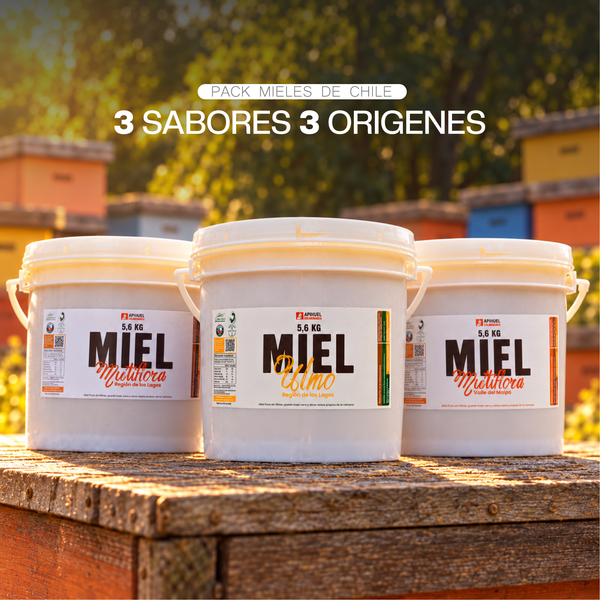 Pack Baldes Mieles de Chile 5.6kg