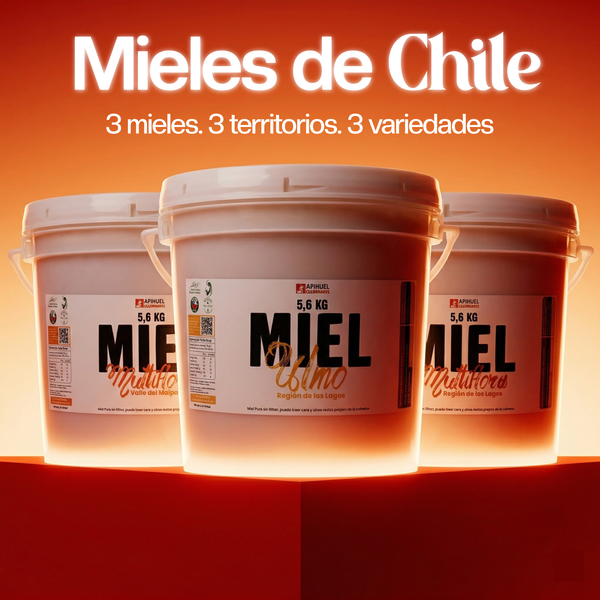 Pack Baldes Mieles de Chile 5.6kg