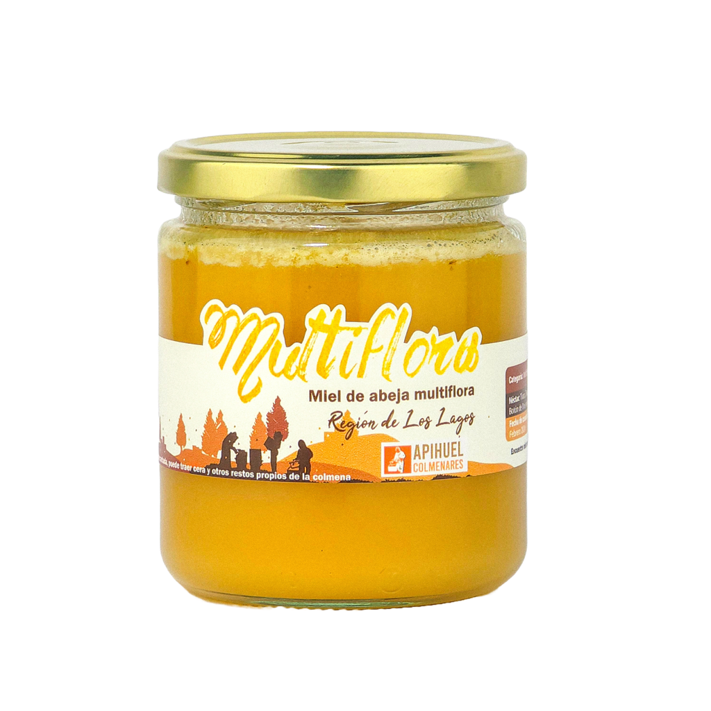 Caja 25 frascos Miel Multiflora Región de Los Lagos 515grs precio especial para Mayoristas