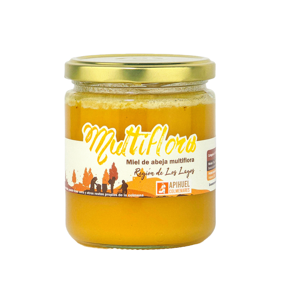 Miel Multiflora de La Región de Los Lagos 515 grs