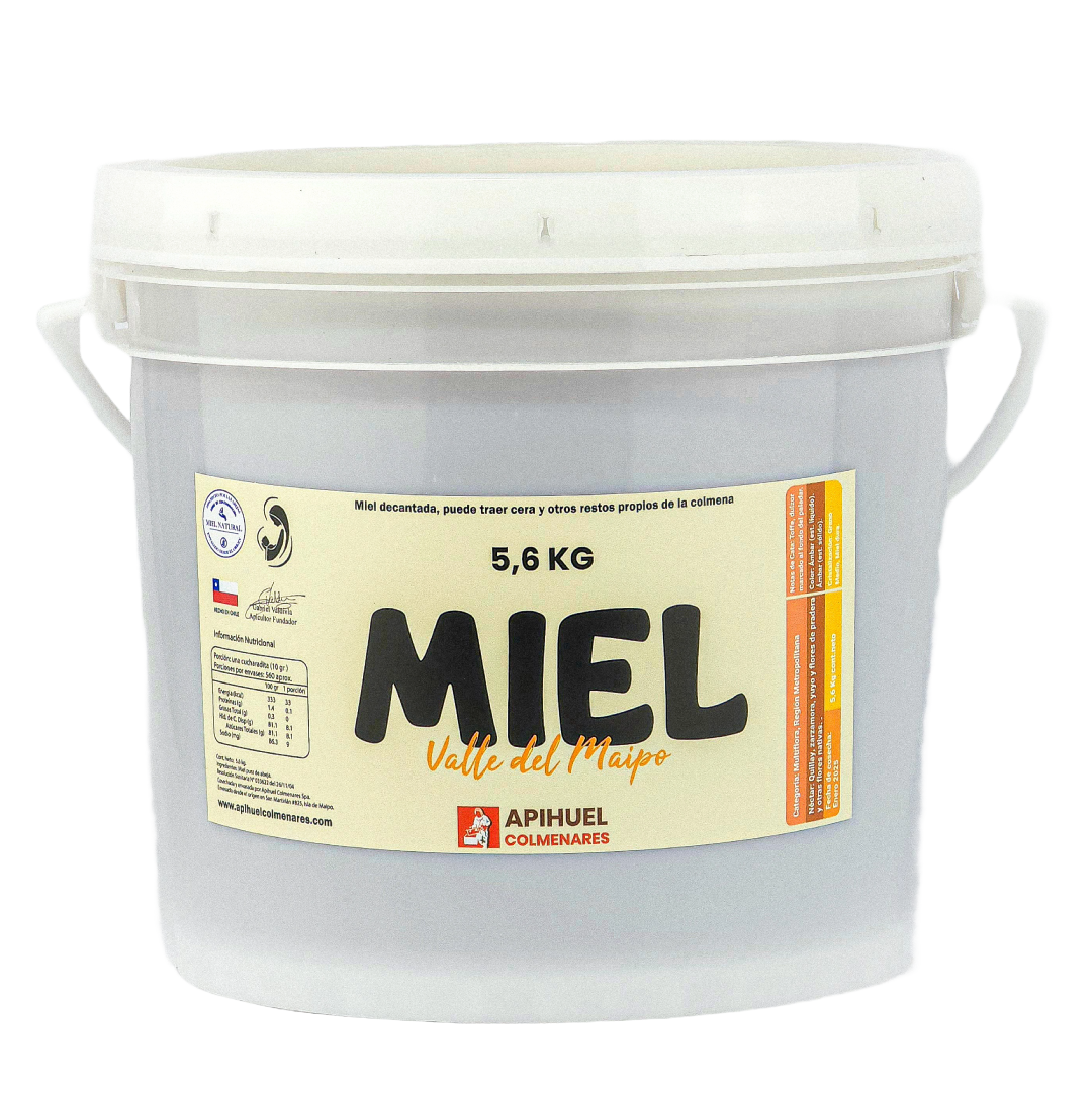 Balde Miel Multiflora Valle del Maipo 5,6Kg + envío GRATIS