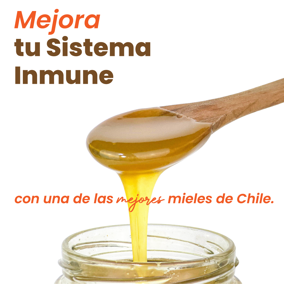 Pack Mieles de Chile 1,3 kg + envío GRATIS